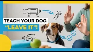 Step by Step Guide to Teaching Your Dog &ldquo;Leave It&rdquo; &ndash; Easy Training Tips for Every Dog