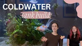 Building a Cold Water Tank with My Sister | Start to Finish Aquarium Setup