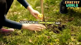 5 Jun - World Environment Day