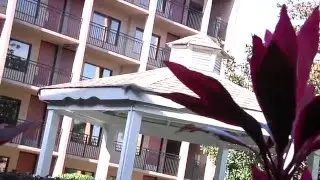 Wyndham Garden Lake Buena Vista Disney Springs Resort Area