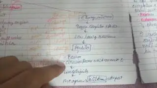 AUDIT SA 210 REVISION