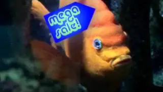 SOS- Sale of the Sea
