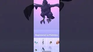 [Pokemon GO] Full Evolution Line of 100% Rookidee into 100% Corviknight! #corviknight  #rookidee