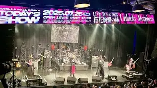 Unlucky Morpheus / Top of the 
