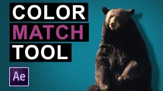 PD Color Match