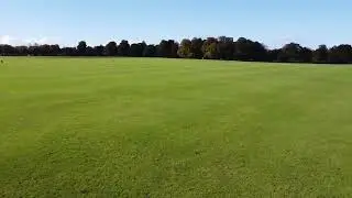 The Stray | Harrogate by Drone