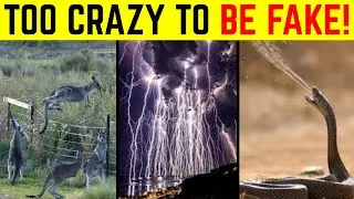 30 Mind Bending Random Facts That Sound Fake!