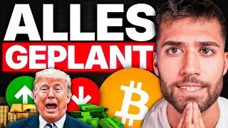 GOLD, BITCOIN, USD: Das ist GENAU, was sie wollten!