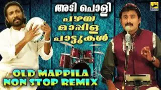 Mappila Pattukal Old Hits | Pzhayza Mappila Songs | KG Markose Hits | Kannur Shareef Mappila Songs