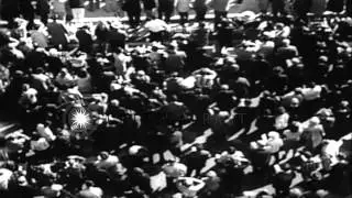 Fort Marcy wins the Washington DC International Horse race in Washington DC, Unit...HD Stock Footage