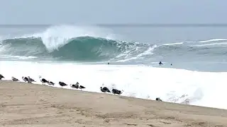 Сёрферы и скимбордисты покоряют первую волну на Алисо Шорбрейк! (НЕОБРАБОТАННЫЕ КАДР)