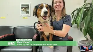 Pet Project: Meet Duke!