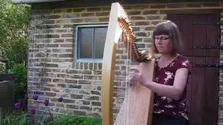 Time after Time - Cyndi Lauper harp cover