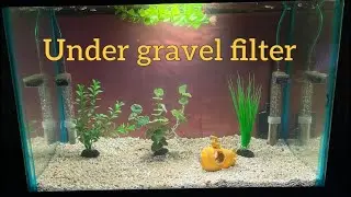 NEW 20 gallon under gravel filter