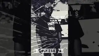 DJ DUKESIE MJ chill VIBES amapiano no vocals 