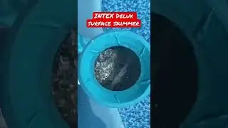INTEX delux surface skimmer | pool care | clean pool | pool skimmer #pool #care #intex #skimmer
