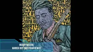 Muddy Waters - Manish Boy (WestBam Remix)