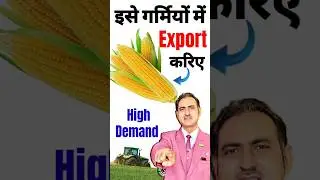 maize export business | corn export from india | rajeevsaini #shorts #corn #export