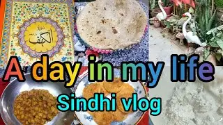 A day in my life 😊/my daily routine 🫕🥘🪴🦜🍲/sindhi vlog 💕