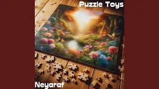 Puzzle Toys