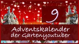 Türchen 9 Adventskalender der Gartenyoutuber