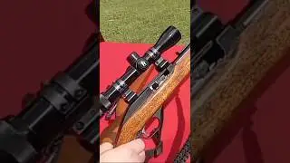 Marlin Model 60 #accuracy #rangeready