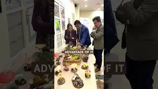 Mycotourism creates jobs and retain population in inland Spain - Carlos Garc&iacute;a Living Lab in &Aacute;vila