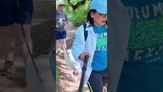 Hiking at Sycamore Canyon #travel #vanlife #hiking