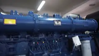 Dingbo 800KW/1000KVA Diesel Generator Set with Yuchai Engine YC6C1320 D31