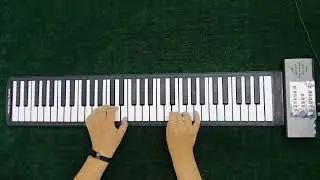 PD61 Roll up Piano 61 Keys