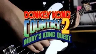 Stickerbush Symphony (Donkey Kong Country 2) Guitar Cover