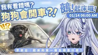 【早安台】鵺！起床囉！｜狗狗會開車？？？【小鵺野紗音／芥川組】