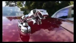 Jaguar Fan Clan   MG Rover Group - встреча 2017