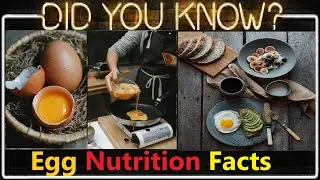 Facts About Eggs: Top 10 Mind-Blowing, Unbelievable, Amazing And Random Egg Nutritional Facts