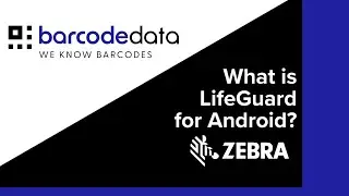 Zebra Mobility DNA Lifeguard for Android 2024