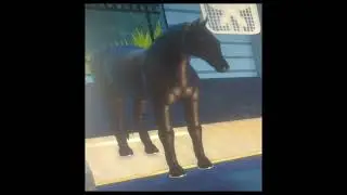 Le Centre Equestre De Riyole ouvre ses portes. (Si vous voulez rejoindre le club en com).