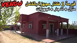 ✨الفيرمة ديالك مجهزة كيف بغيتي كلها اشجار الفواكه واجدة ومنزل جاهز ✨علال البحراوي
