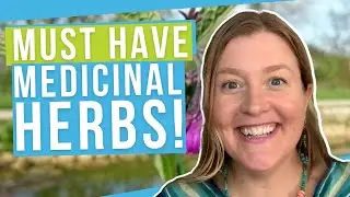 5 Must Have Herbs for Your Medicinal Herb Garden