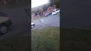 Ghetto Cats