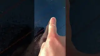asmr Finger POV - funny noise #asmr #fingerpov #slowmotion