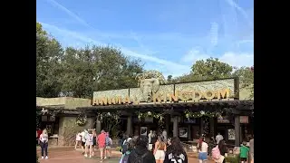 Kiliminjaro Safari's Animal Kingdom Tour Walt Disney World