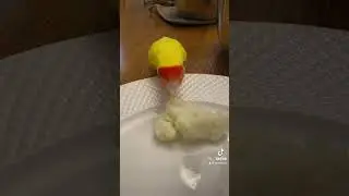 Tweety is having dinner 🐥😋 #shorts