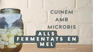 Alls fermentats en mel - UN SUPERALIMENT NATURAL - M&oacute;n Ferment