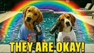 The Secret All Dogs Know About The Rainbow Bridge 🌈🐾☁️