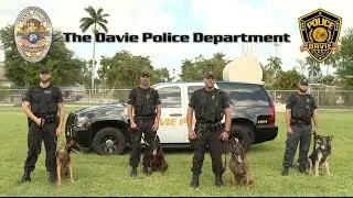 We Are Davie