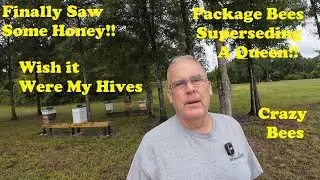 Seeing Honey! But Not My Hives |  Package Bees Supersedure