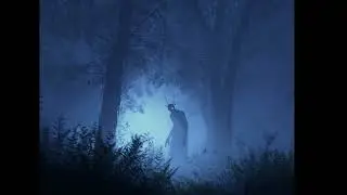 Whispers Between the Trees