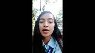 The Siteseeker's vlog