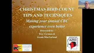 Making Your Christmas Bird Count the Best