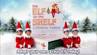 The Elf on the Shelf - Blue Eye Boy Elf - by Chanda Bell (Hardcover)